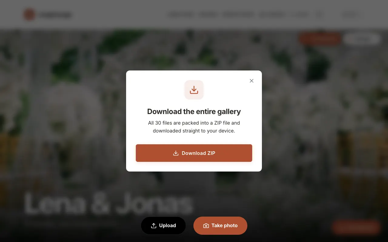 Image from the app: In the “Download the entire gallery” window, tap „Download ZIP“. The file lands in your downloads folder.