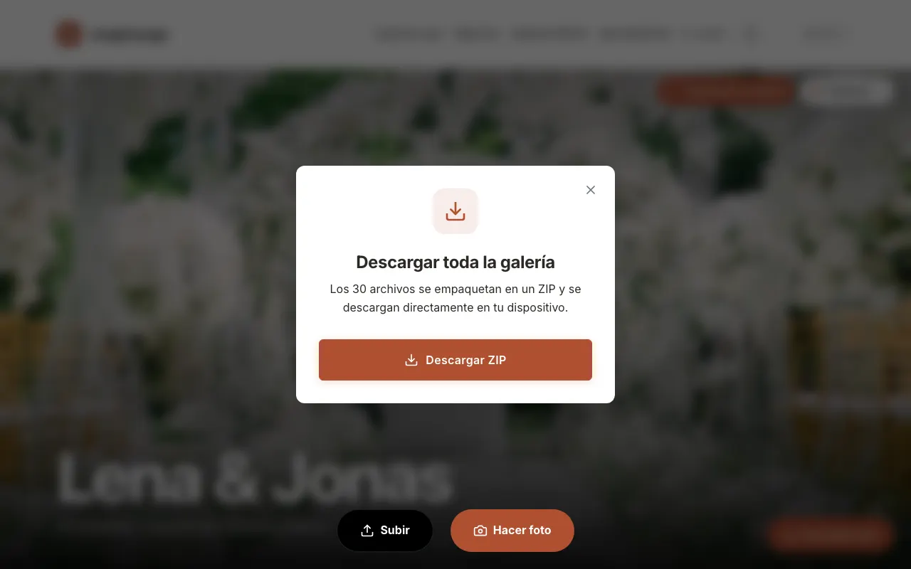 Imagen de la app: En la ventana «Descargar toda la galería» toca „Descargar ZIP“. El archivo llega a tu carpeta de descargas.