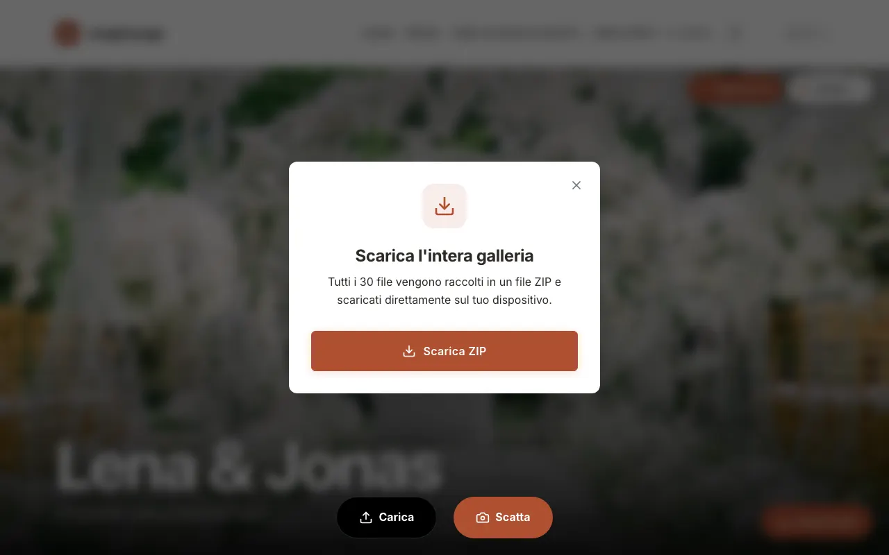 Immagine dall'app: Nella finestra «Scarica l'intera galleria» tocca „Scarica ZIP“. Il file finisce nella tua cartella Download.